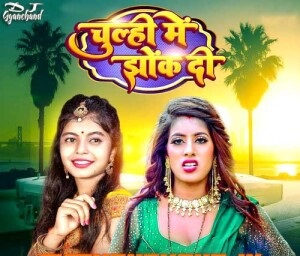 Chulhiye Me Jhok Di Shivani Singh Mp3 Song Download (Royal GMS Remix)Dj Gyanchand Ayodhya